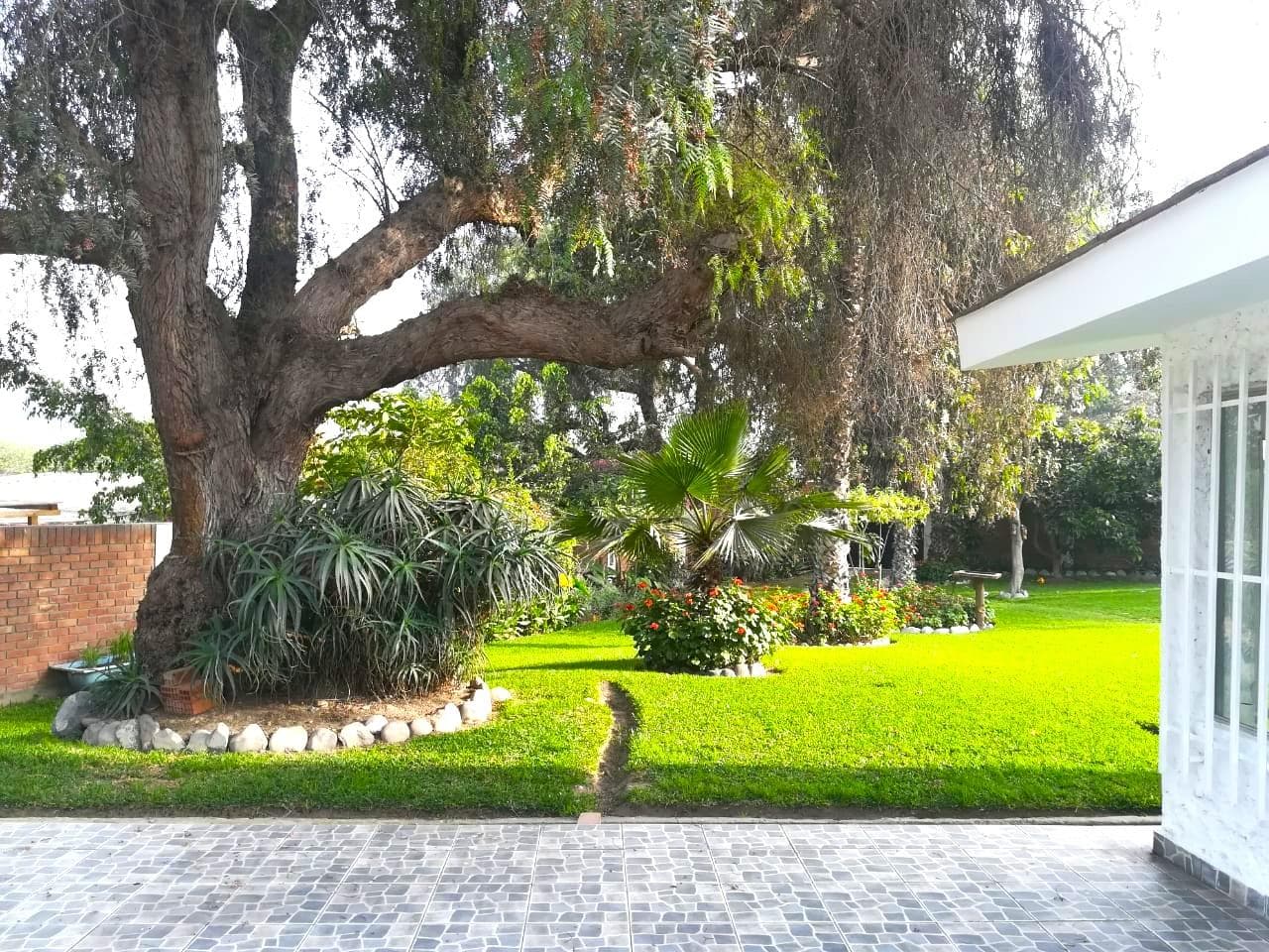 El Refugio Natural que Siempre Soñaste, Espacios Verdes y Comodidad en California, Chaclacayo - 2