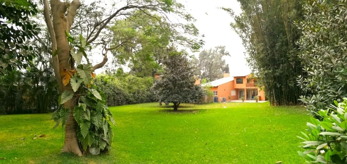 Un Paraíso Natural en Chaclacayo, Amplios Espacios y Versati - 2