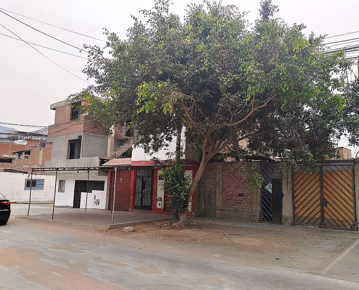 Venta De Terreno En Villa Maria Del Triunfo - 1