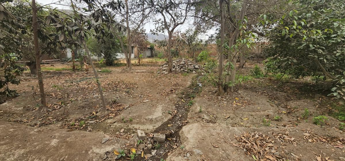 Se Vende Casa Huerta Como Terreno - 2