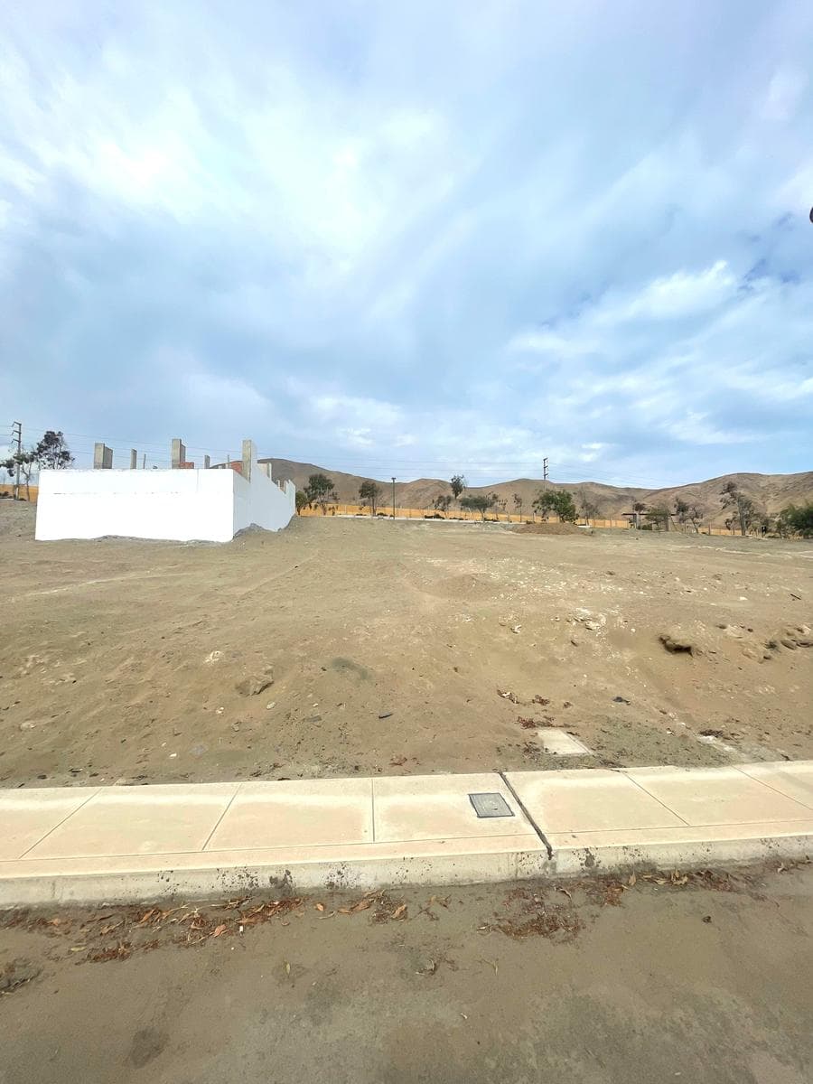 Terreno a la Venta en San Antonio Cañete - 2