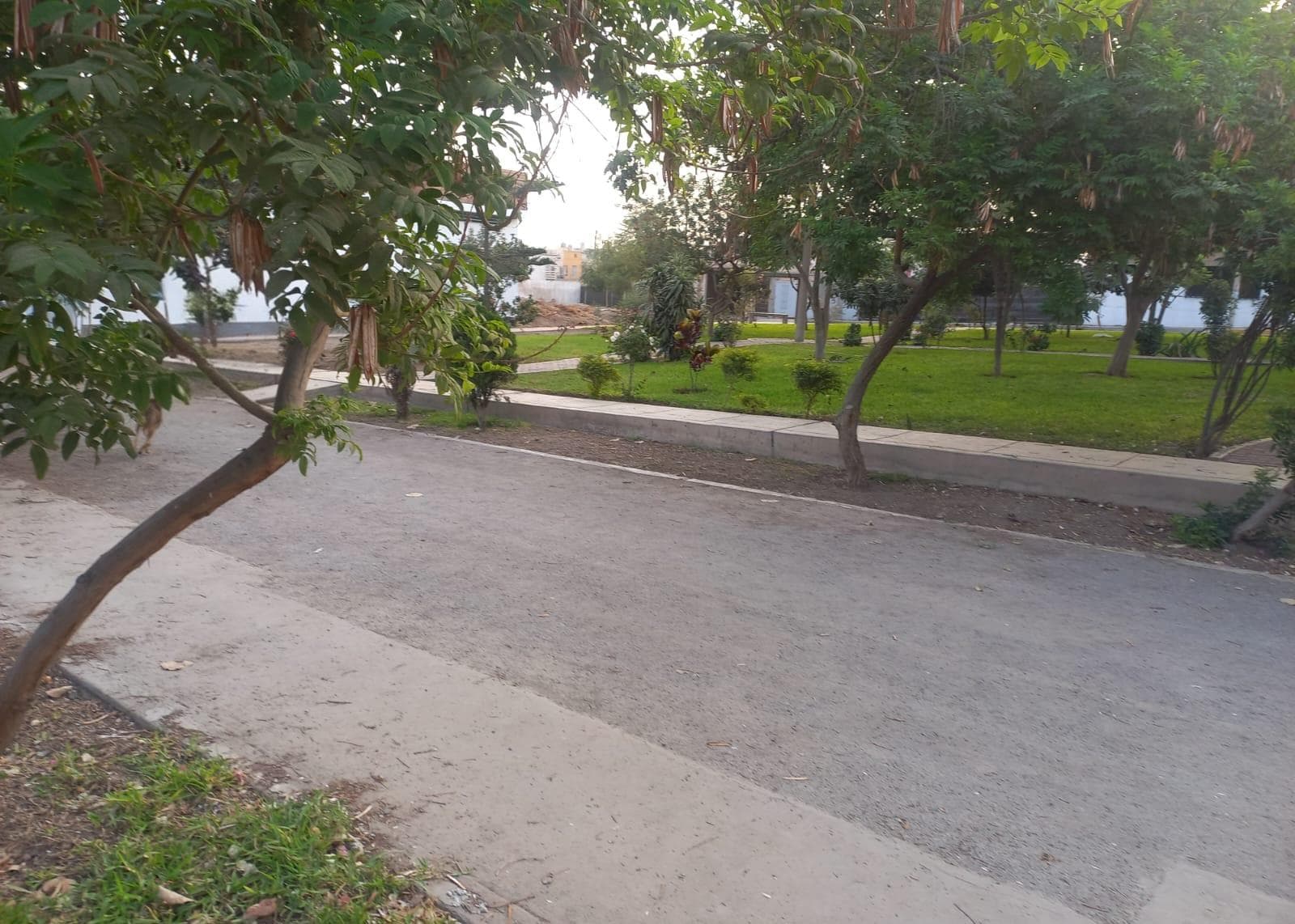 Terreno en venta Carabayllo - 2