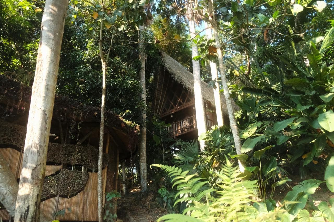 HOTEL ECOLODGE | 3 CABAÑAS | TARAPOTO - 2