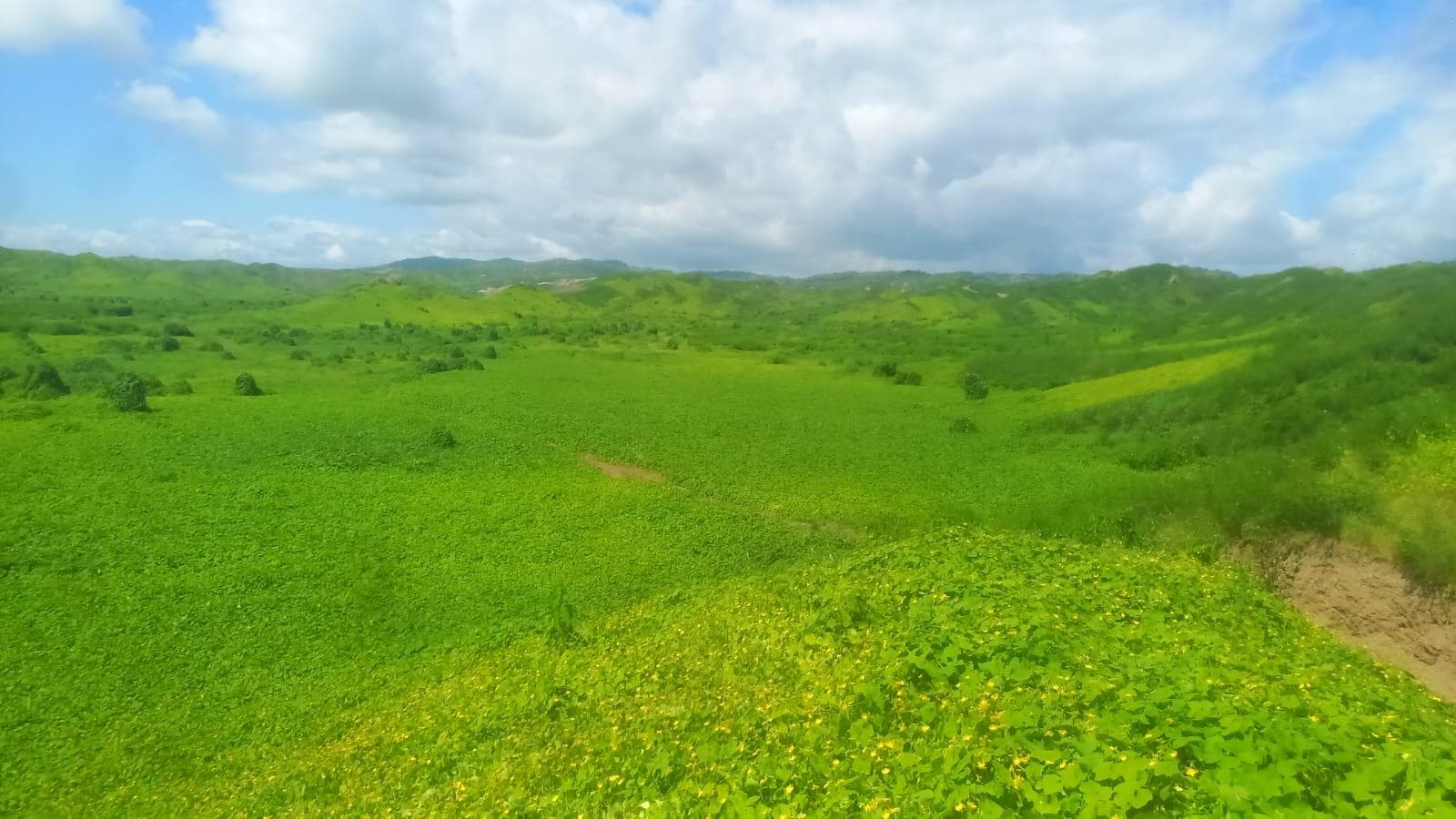 Vendo Eco Lotes para Casas de Campo en Canoas de Punta Sal, Tumbes - 1