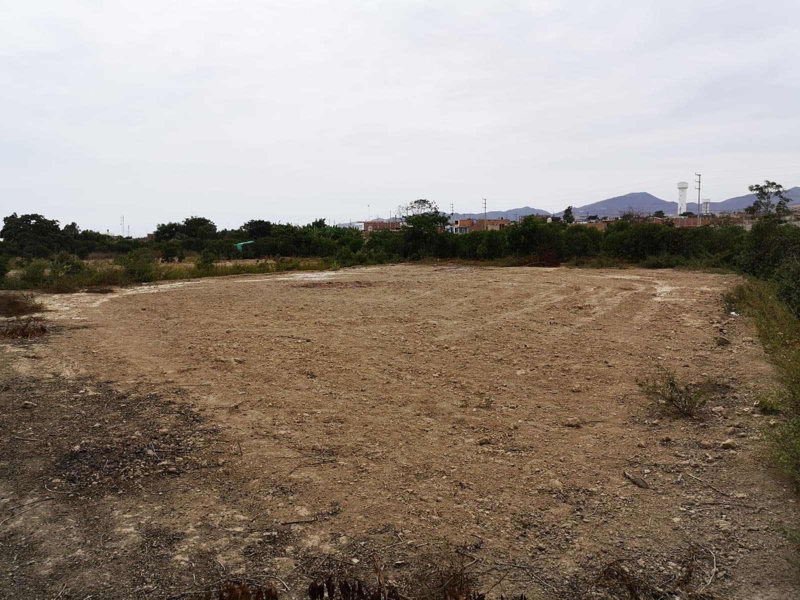 Venta de Terreno en Asia, Cañete de 1,000 m² en El Limón Santa Rosa de Asia, Cañete - 2