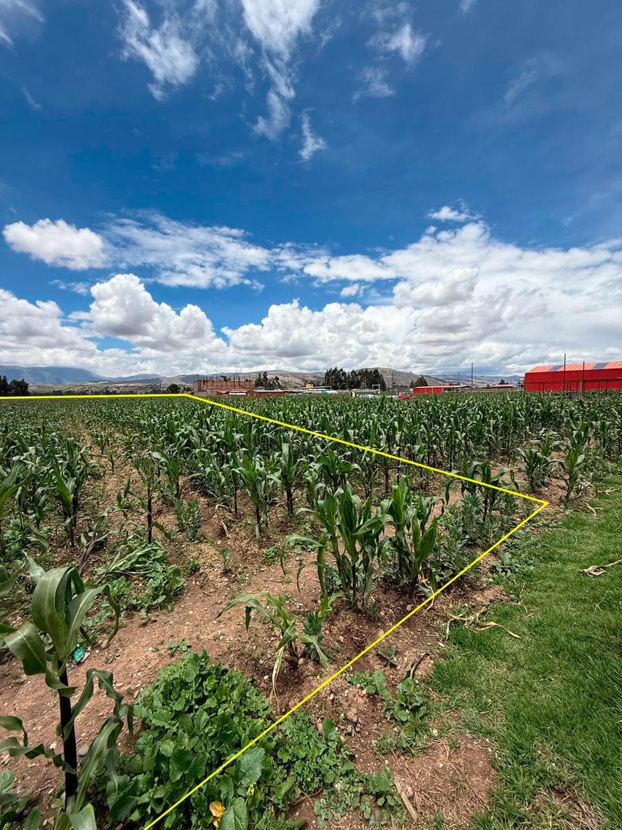 Se Vende Terreno San Jerónimo de Tunan Cerca a Carretera Central - 2