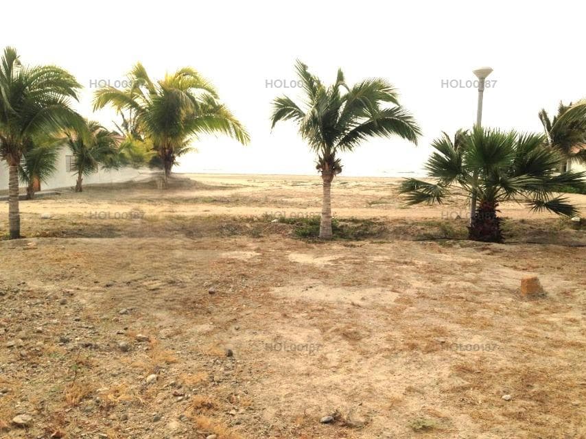 Vendo Lindo Terreno en Calle Playa Punta Sal Km 1190, Fila 2, Canoas de Punta Sal - 2