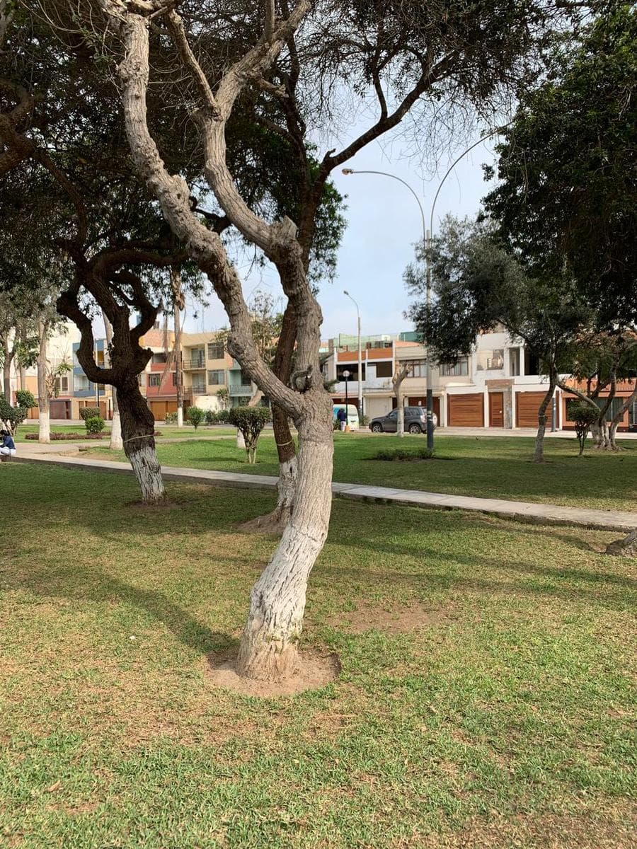 Departamento en Jr Paracas 252 - 2