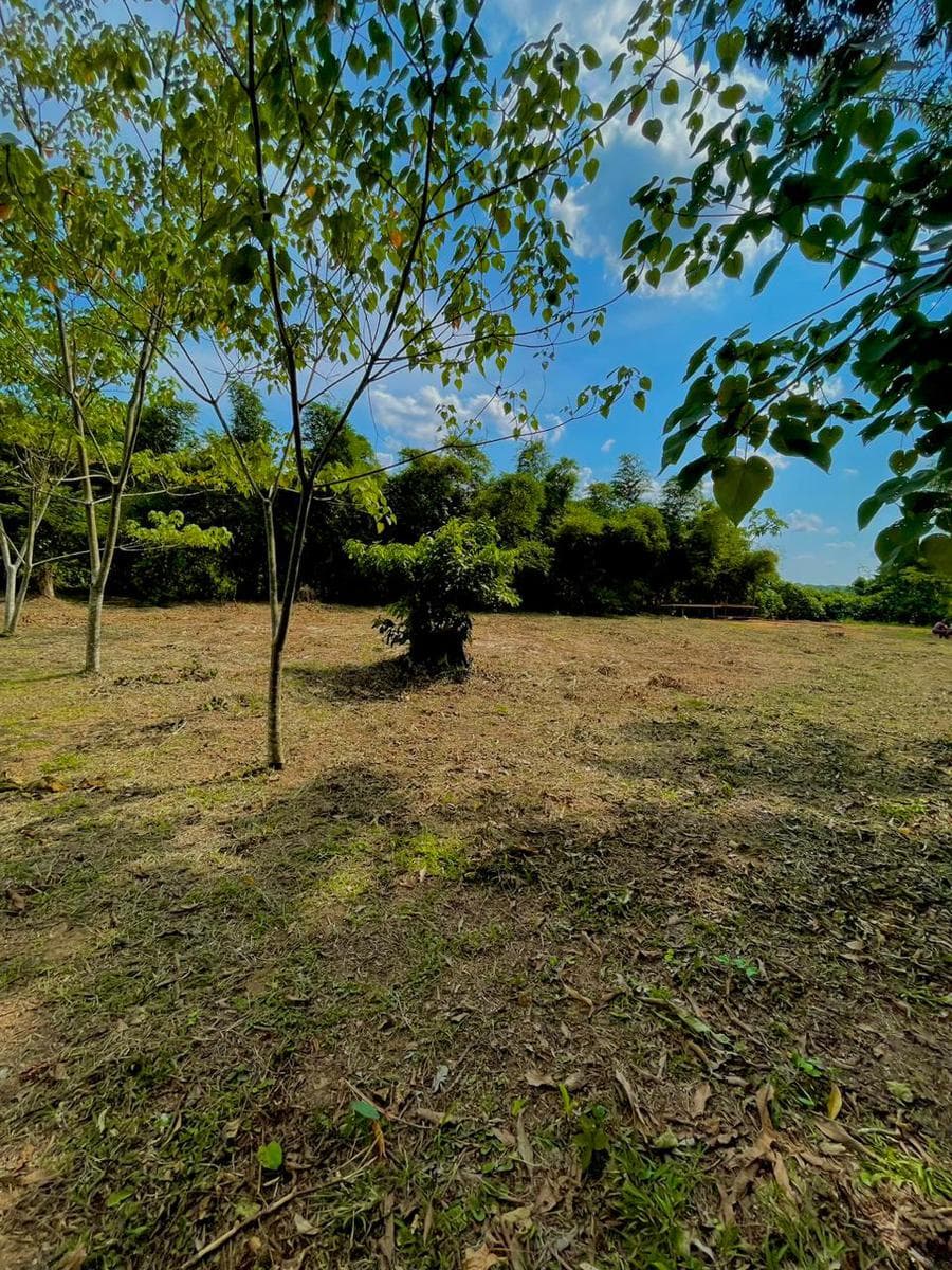Terreno en Venta en Puerto Maldonado - 2