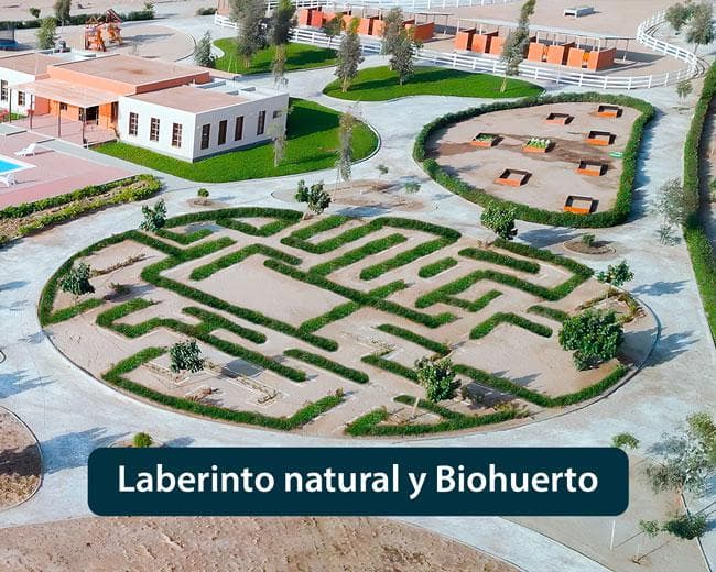 Terreno en venta Fundo Eucaliptos del Valle - ICA - 2