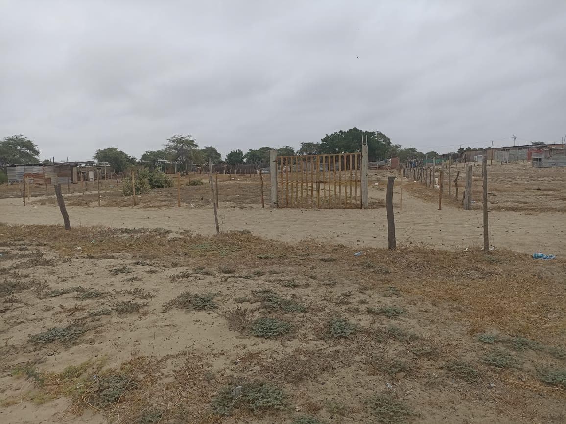 Vendo Terreno en Los Ejidos de Huan, Piura (A 100 mts de la carretera Los Ejidos) - 2